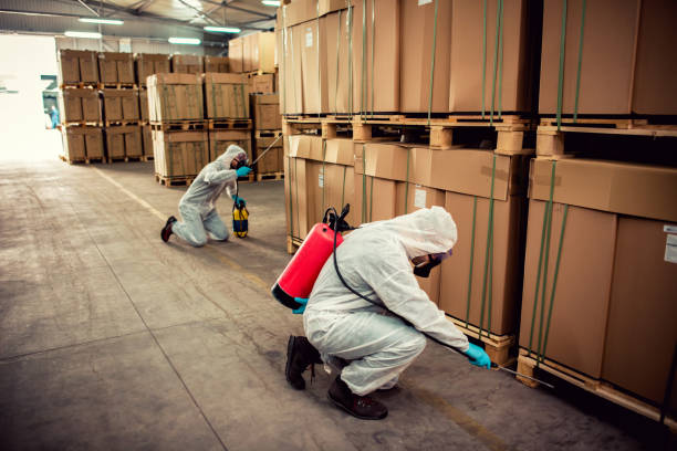 Best Mosquito Control Services  in Landing, NJ