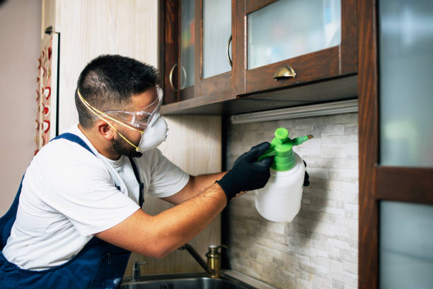 Best Pest Prevention Services  in Landing, NJ