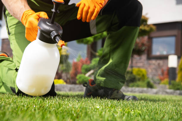 Wasp Removal Services in Landing, NJ