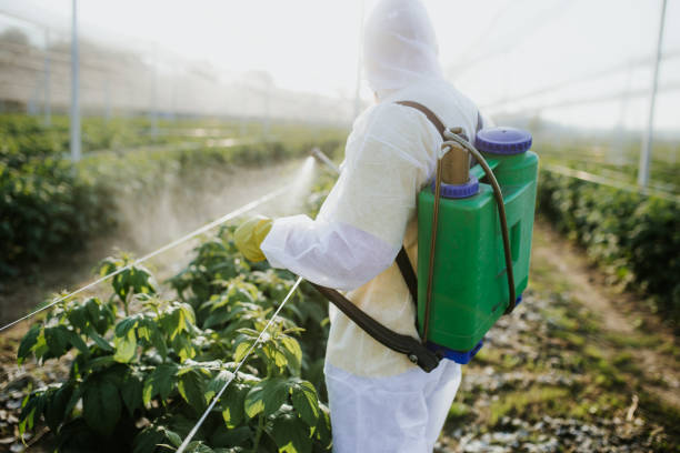 Best Cockroach Control Services  in Landing, NJ